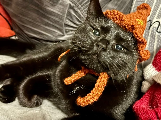 Handmade orange knitted accessories showcasing textile craft